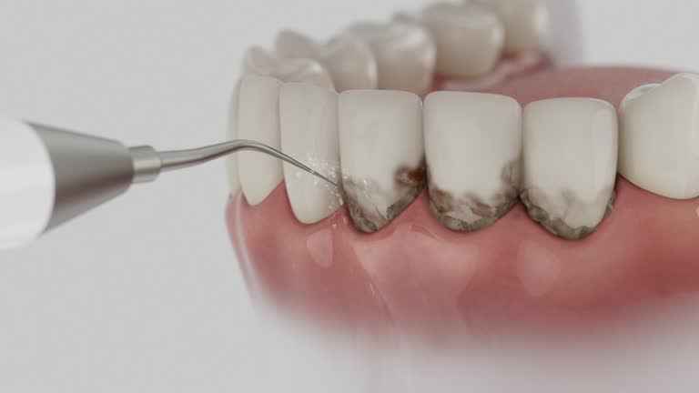Reliable Dental contractor in Montgomery, IN by Dentist Open Now
